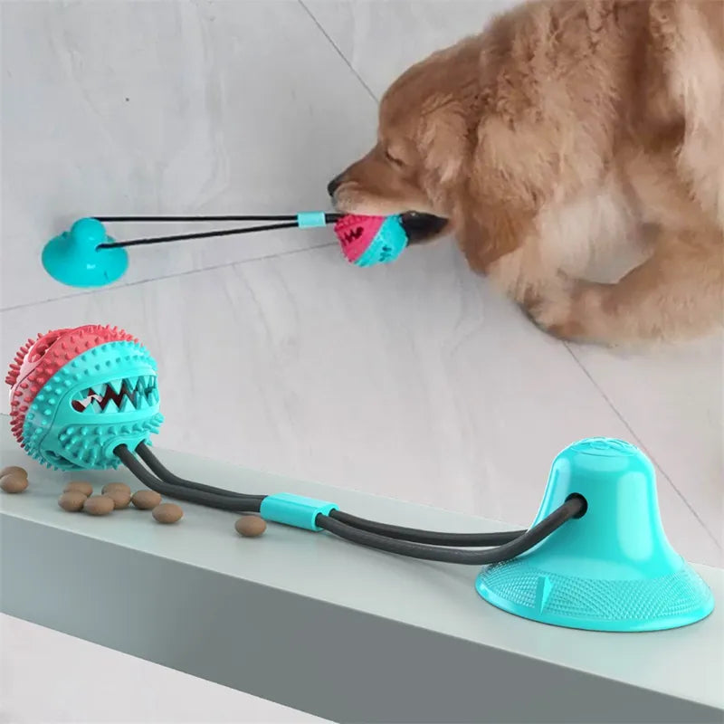 balle interactive pour animaux